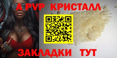 стаф Кинель