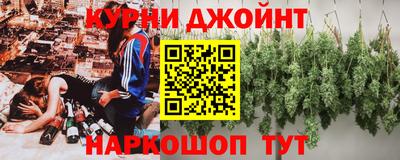 сатива Кингисепп