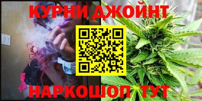 сатива Кингисепп