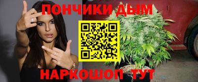 стаф Кинель