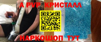 стаф Кинель