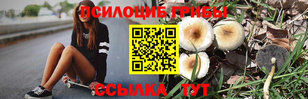 Псилоцибиновые грибы Cubensis  Вход с VPN  Псилоцибиновые грибы ЛСД  Кстово 