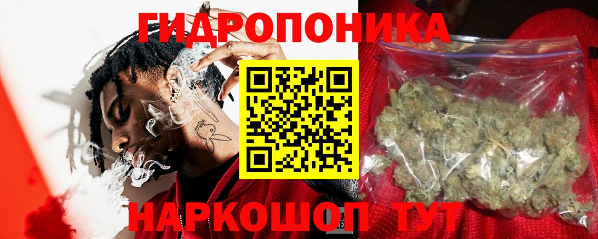 Канабис Amnesia Кстово